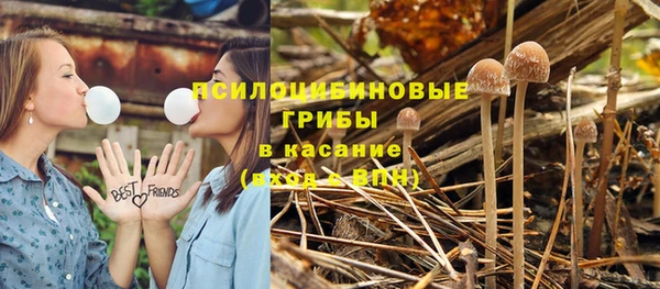 бутират Баксан